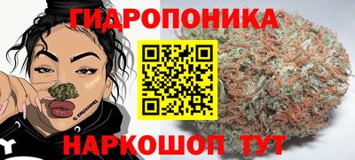 не бодяженный Кингисепп
