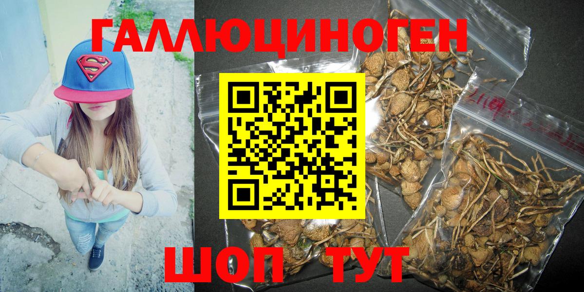 Галлюциногенные грибы прущие грибы Кировск