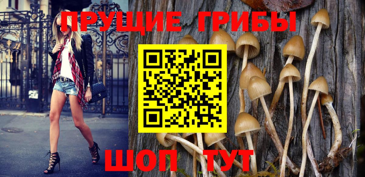 Кировск  Галлюциногенные грибы MAGIC MUSHROOMS  Вход с VPN 